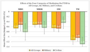 Treating PTSD a meta-analysis
